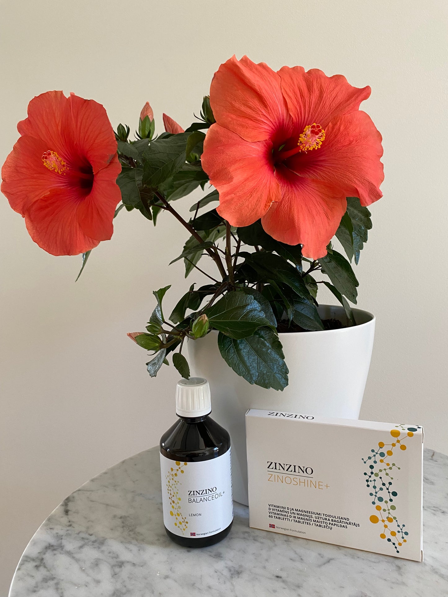 Magneesium+ D-vitamiin+ Omega-3